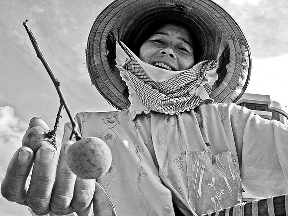 Longhans seller