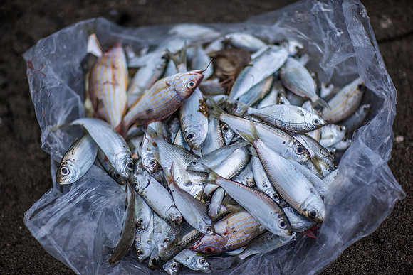 Fishing activities from Montego Bay Coast