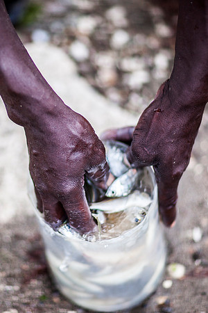 Fishing activities from Montego Bay Coast