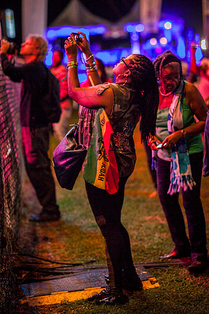 Rebel Salute 2014