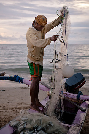 Back from the sea...
