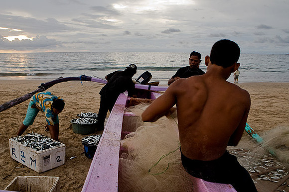 Fishers back from the sea and prepare the day after