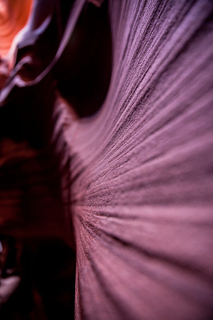 Purplelistic X