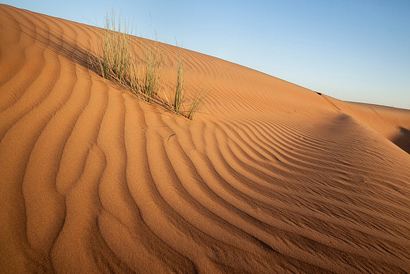 Wahabi sands desert