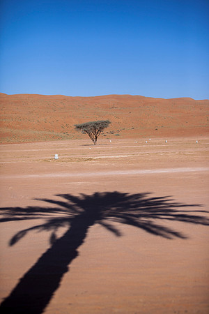 Wahabi sands desert
