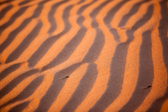 Wahabi sands desert