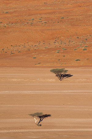 Wahabi sands desert