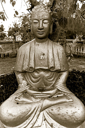 Old Buddha statue under the tree