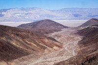 Shades of Brown :: In the Arizona