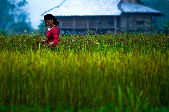 Countryside moment