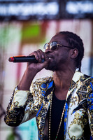 Bounty Killer
