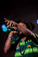 Bushman
