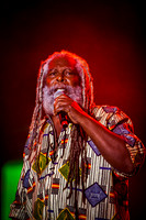 Bob Andy